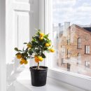 블랙엔화이트 이미지