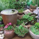 들뫼풍경 이미지