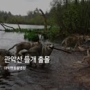 아이펫 동물병원 이미지