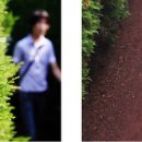 김녕관광지 이미지