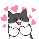 금산카바디샵 이미지