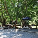 황학동캠핑장 이미지