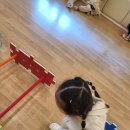 마곡어린이집 이미지