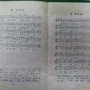 후야후야 티스토리