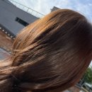 헤어살롱 송주 | 대구프리미엄헤어살롱/대구수성구미용실 :: 토니앤가이 호텔수성점 추천