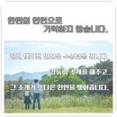 베스트상조