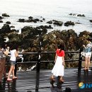 대송회센타 이미지