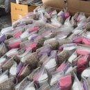 안양부흥초등학교 이미지