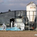 박진규농장 이미지