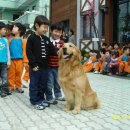 마루유치원 이미지