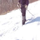 유현초교 이미지