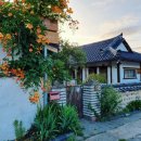 봄날처럼민박 이미지