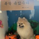 무프스 이미지