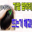 장미수선 - 강서구 까치산로14길 38 | 장미수선
