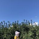 민우농장 이미지