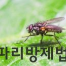 사임당 성남분당 이미지
