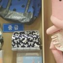 홈패션 입문초급 이미지