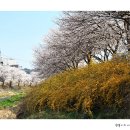 하나로마트 대덕농협본점 이미지