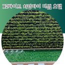 치앙마이 님만해민 근처 가성비 호텔 X2 바이브 치앙마이 디셈호텔