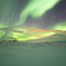 지피메디컬 이미지