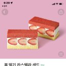 샌드블라썸 이미지