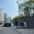 벚꽃 공중화장실 | 대전 벚꽃명소🐝: 전민동 문지동 갑천 벚꽃길 주차정보/엑스포 아파트 벚꽃 먹거리, 공중화장실