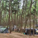 삼봉자동차야영장 이미지