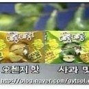 추억의과자