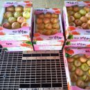 삼현농장 이미지