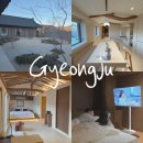 움(woom) | 예쁜 마당과 감성 넘치는 한옥 독채 숙소 | 경주 감성 숙소 스테이 움woom