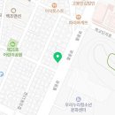 커들리 퍼피 창원강아지 분양 이미지