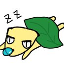게코정