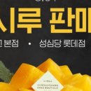 망고양