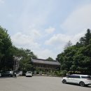 왕후의사랑방 | ​[남양주 드라이브] 초록 가득한 힐링 스팟, 봉선사 연꽃 & 세조 광릉 산책