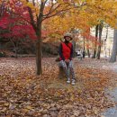 천국은불타고있다 | 전라남도 순천시 송광사(불일암-감로암) 웰빙트레킹