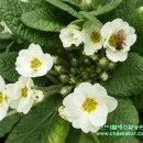 한아름농원 이미지