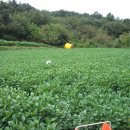 아영농장 이미지