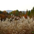 참좋은인연 이미지