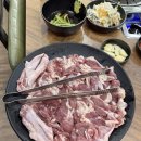구워라생오리전문점 | 경산 오리고기 맛집 돈오리제주오겹전문점 생오리로 원기회복
