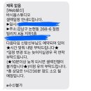 [스튜디오 셀렉] 루미에르레브 셀렉 후기 (언짢음주의, 셀렉 팁)