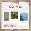 성공축산물공판장