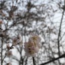 문정길 | 화천하수구 청소 시급하다면? &#39;배관클리닉&#39; 으로 !