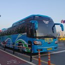 일지매 여행사 이미지