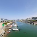 장림포구 이미지