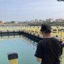 낚고락고 이미지