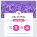 표현화장품