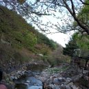 바람꽃펜션 | 봄 여행은 산청펜션 ::: 바람꽃 펜션 💗