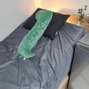 원룸슈퍼 | 원룸 침대 사이즈 추천 슈퍼싱글 모션베드 소닉슬립 후기