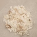 바라봄동물병원 이미지