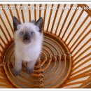 평강농장 이미지